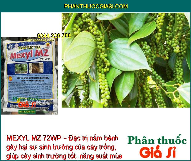 MEXYL MZ 72WP – Đặc Trị Chết Nhanh Cây Tiêu - Loét Sọc Mặt Cạo Cao Su