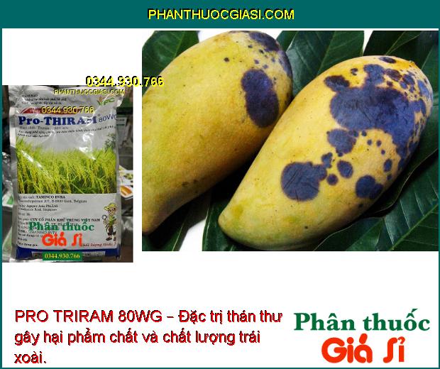 PRO TRIRAM 80WG – Đặc Trị Thán Thư - Mốc Sương -  Khô Vằn