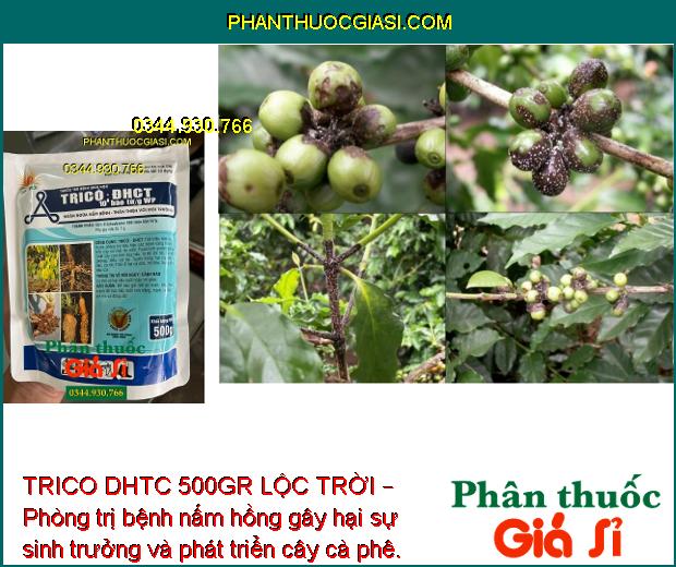 TRICO DHTC 500GR LỘC TRỜI – Phòng Trị Thối Rễ - Vàng Lá - Nấm Hồng - Tuyến Trùng