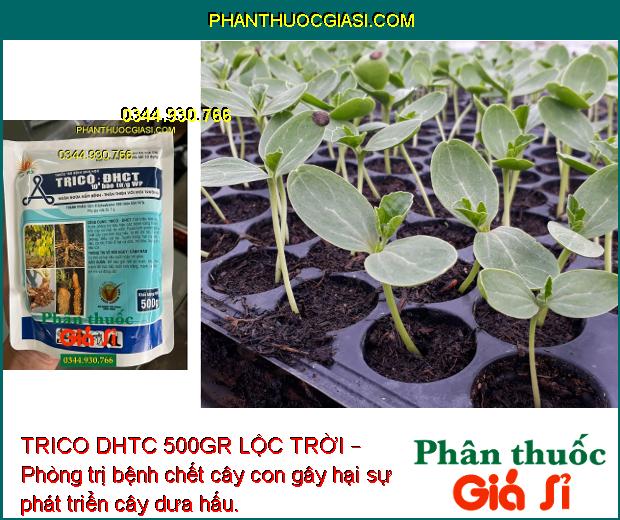 TRICO DHTC 500GR LỘC TRỜI – Phòng Trị Thối Rễ - Vàng Lá - Nấm Hồng - Tuyến Trùng