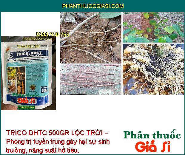 TRICO DHTC 500GR LỘC TRỜI – Phòng Trị Thối Rễ - Vàng Lá - Nấm Hồng - Tuyến Trùng