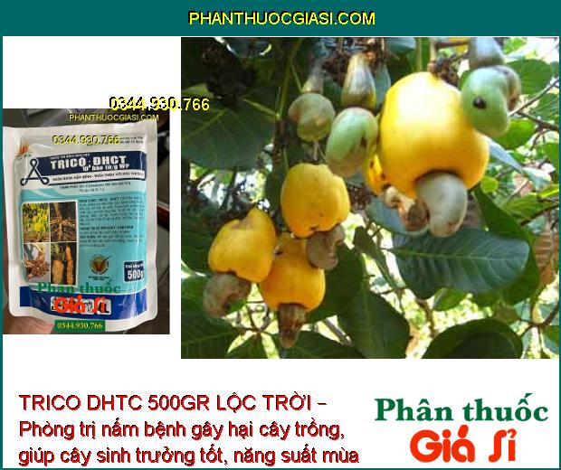 TRICO DHTC 500GR LỘC TRỜI – Phòng Trị Thối Rễ - Vàng Lá - Nấm Hồng - Tuyến Trùng