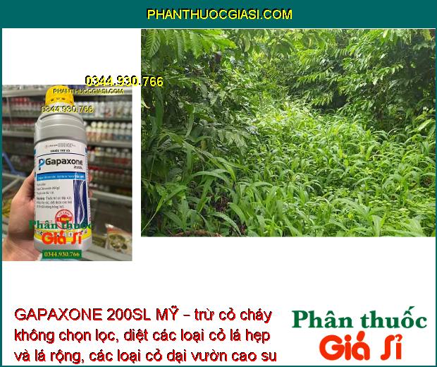 GAPAXONE 200SL MỸ – Đặc Trị Cỏ Lá Rộng - Lá Hẹp - Cỏ Dại Trên Vườn Cao Su