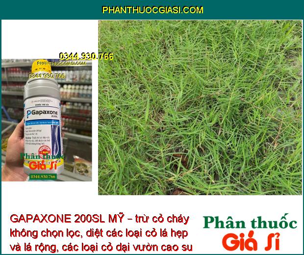 GAPAXONE 200SL MỸ – Đặc Trị Cỏ Lá Rộng - Lá Hẹp - Cỏ Dại Trên Vườn Cao Su