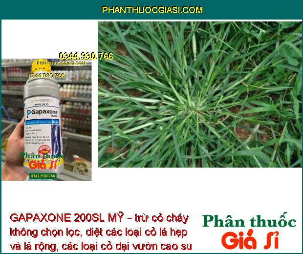 GAPAXONE 200SL MỸ – Đặc Trị Cỏ Lá Rộng - Lá Hẹp - Cỏ Dại Trên Vườn Cao Su