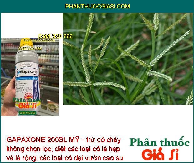 GAPAXONE 200SL MỸ – Đặc Trị Cỏ Lá Rộng - Lá Hẹp - Cỏ Dại Trên Vườn Cao Su