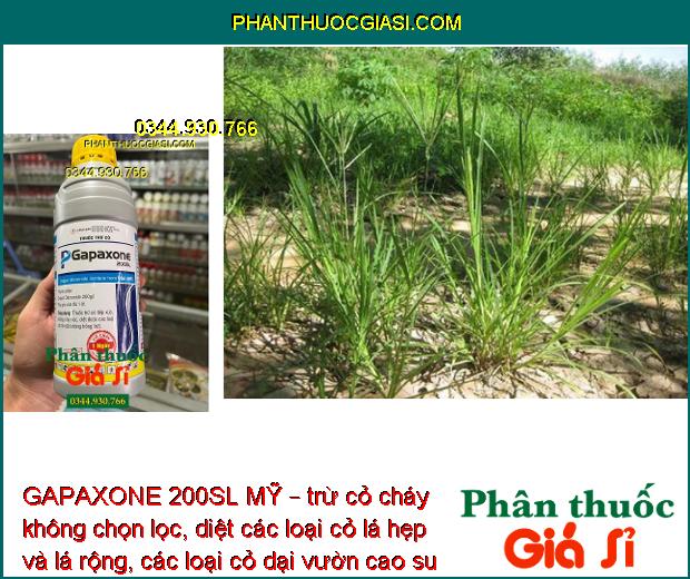 GAPAXONE 200SL MỸ – Đặc Trị Cỏ Lá Rộng - Lá Hẹp - Cỏ Dại Trên Vườn Cao Su