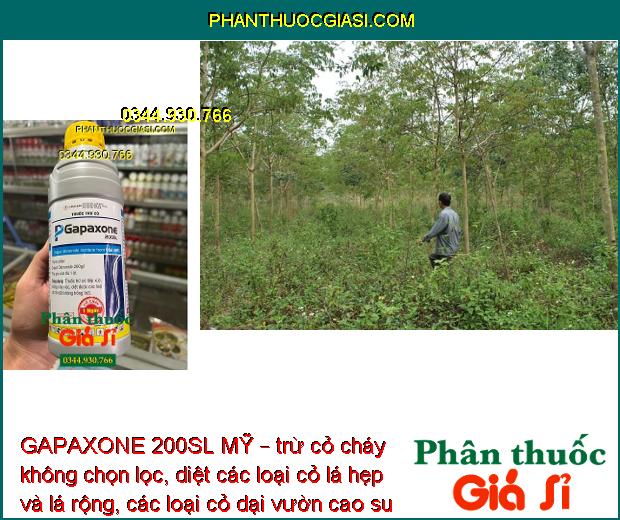 GAPAXONE 200SL MỸ – Đặc Trị Cỏ Lá Rộng - Lá Hẹp - Cỏ Dại Trên Vườn Cao Su