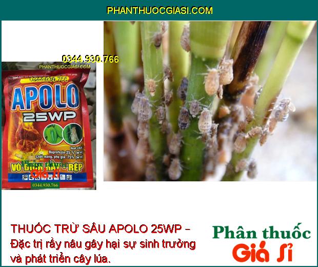 THUỐC TRỪ SÂU APOLO 25WP – Đặc Trị Rầy Nâu Trên Lúa - Rệp Sáp Hại Cà Phê - Rầy Trên Xoài