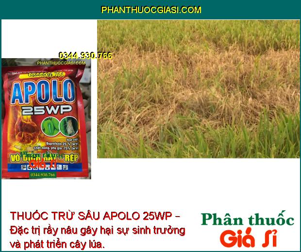 THUỐC TRỪ SÂU APOLO 25WP – Đặc Trị Rầy Nâu Trên Lúa - Rệp Sáp Hại Cà Phê - Rầy Trên Xoài