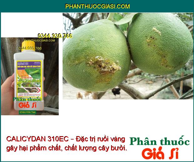 CALICYDAN 310EC – Đặc Trị Các Loại Sâu - Rầy - Côn Trùng Hút Chích