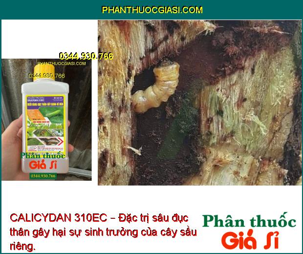 CALICYDAN 310EC – Đặc Trị Các Loại Sâu - Rầy - Côn Trùng Hút Chích