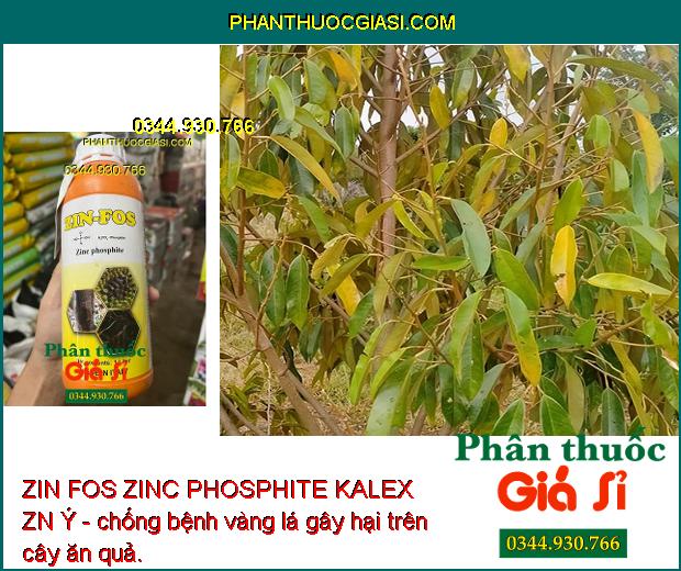 ZIN FOS ZINC PHOSPHITE KALEX ZN Ý - Đặc Trị Vàng Lá - Thối Rễ - Nứt Thân - Xỉ mũ - Đốm Lá - Cháy Lá