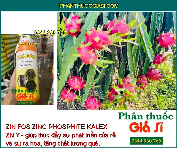 ZIN FOS ZINC PHOSPHITE KALEX ZN Ý - Đặc Trị Vàng Lá - Thối Rễ - Nứt Thân - Xỉ mũ - Đốm Lá - Cháy Lá