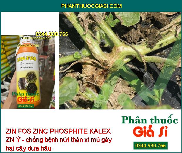 ZIN FOS ZINC PHOSPHITE KALEX ZN Ý - Đặc Trị Vàng Lá - Thối Rễ - Nứt Thân - Xỉ mũ - Đốm Lá - Cháy Lá