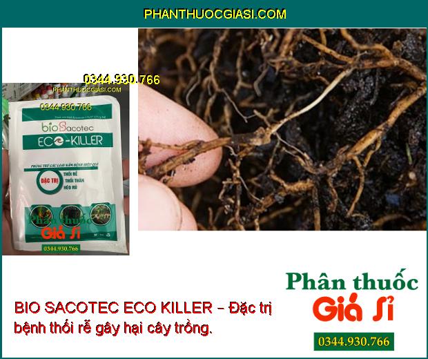 BIO SACOTEC ECO KILLER – Đặc Trị Thối Rễ - Thối Thân - Héo Rũ