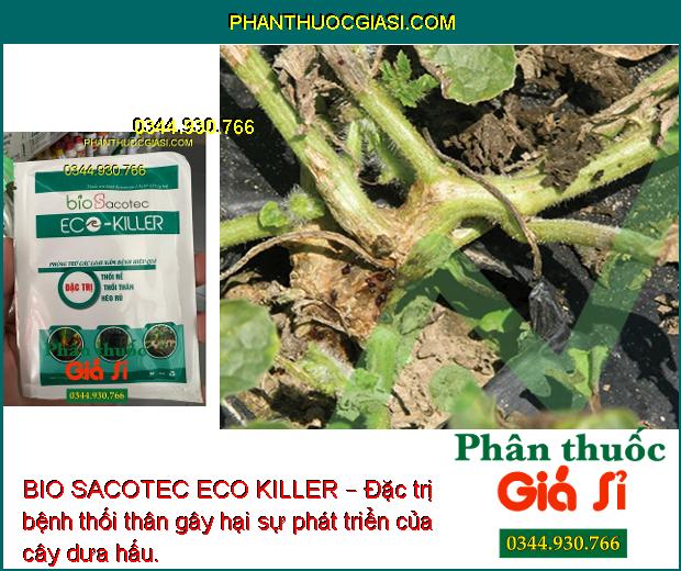 BIO SACOTEC ECO KILLER – Đặc Trị Thối Rễ - Thối Thân - Héo Rũ