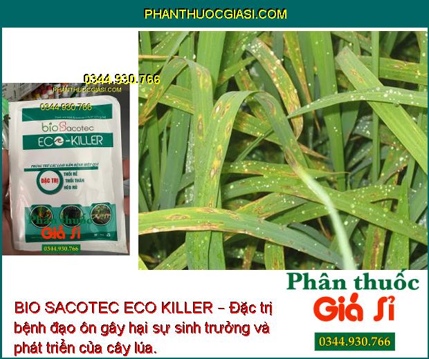 BIO SACOTEC ECO KILLER – Đặc Trị Thối Rễ - Thối Thân - Héo Rũ