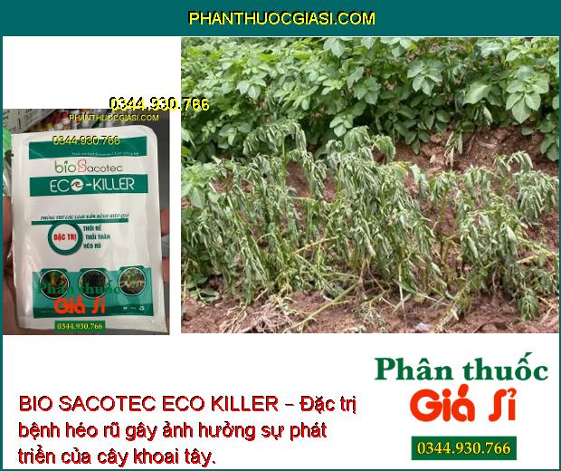 BIO SACOTEC ECO KILLER – Đặc Trị Thối Rễ - Thối Thân - Héo Rũ