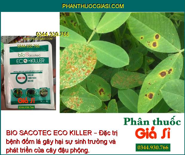 BIO SACOTEC ECO KILLER – Đặc Trị Thối Rễ - Thối Thân - Héo Rũ