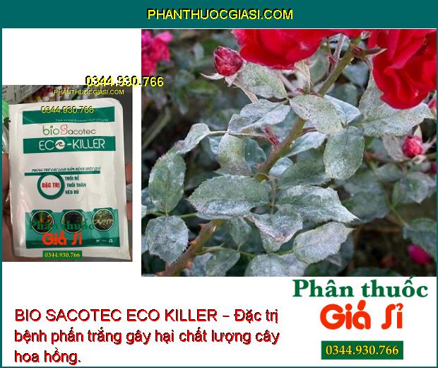 BIO SACOTEC ECO KILLER – Đặc Trị Thối Rễ - Thối Thân - Héo Rũ