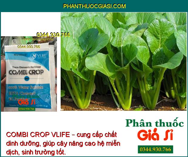 COMBI CROP VLIFE – Cung cấp Vi Lượng Chống Rụng Hoa - Nuôi Trái Lớn