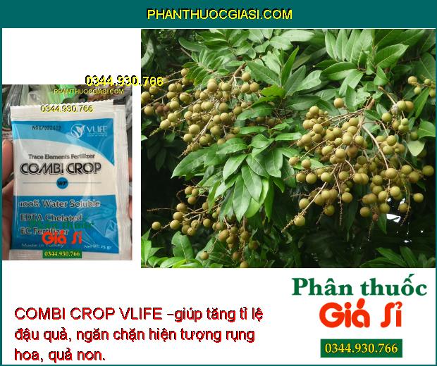 COMBI CROP VLIFE – Cung cấp Vi Lượng Chống Rụng Hoa - Nuôi Trái Lớn