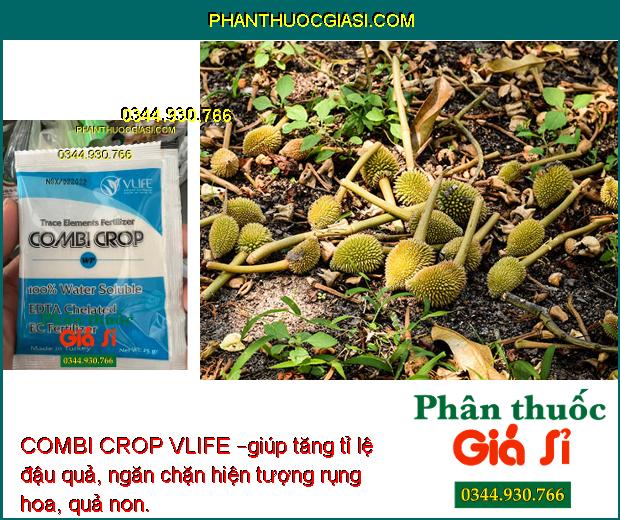 COMBI CROP VLIFE – Cung cấp Vi Lượng Chống Rụng Hoa - Nuôi Trái Lớn