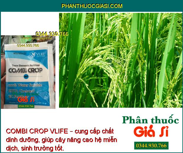 COMBI CROP VLIFE – Cung cấp Vi Lượng Chống Rụng Hoa - Nuôi Trái Lớn