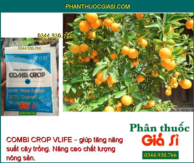 COMBI CROP VLIFE – Cung cấp Vi Lượng Chống Rụng Hoa - Nuôi Trái Lớn