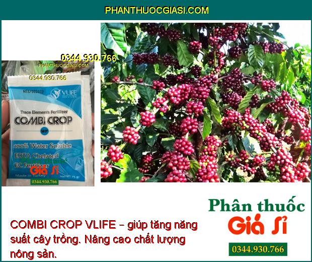 COMBI CROP VLIFE – Cung cấp Vi Lượng Chống Rụng Hoa - Nuôi Trái Lớn