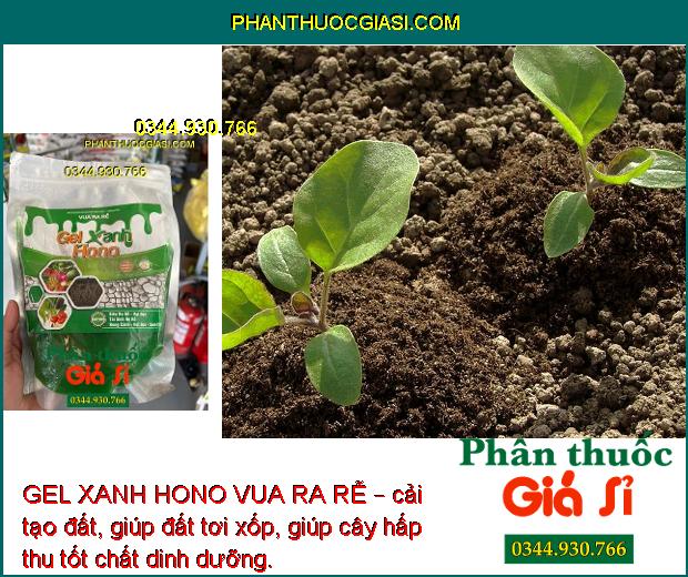 GEL XANH HONO VUA RA RỄ – Kích Thích Ra Rễ - Cải Tạo Đất 