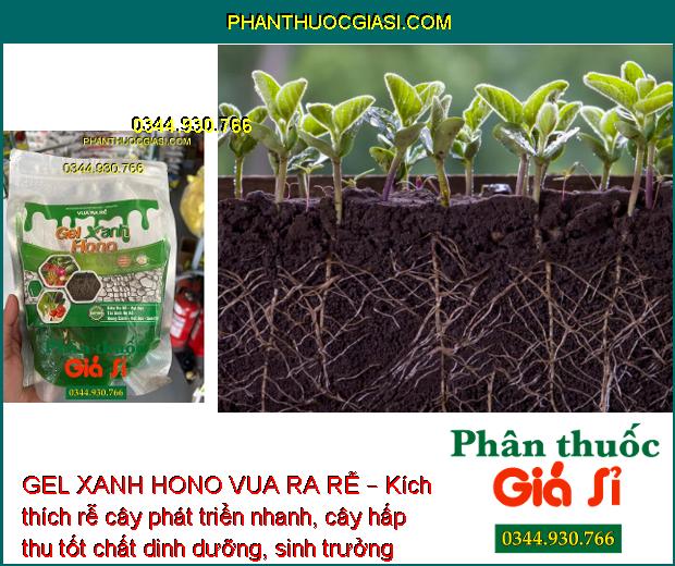 GEL XANH HONO VUA RA RỄ – Kích Thích Ra Rễ - Cải Tạo Đất 