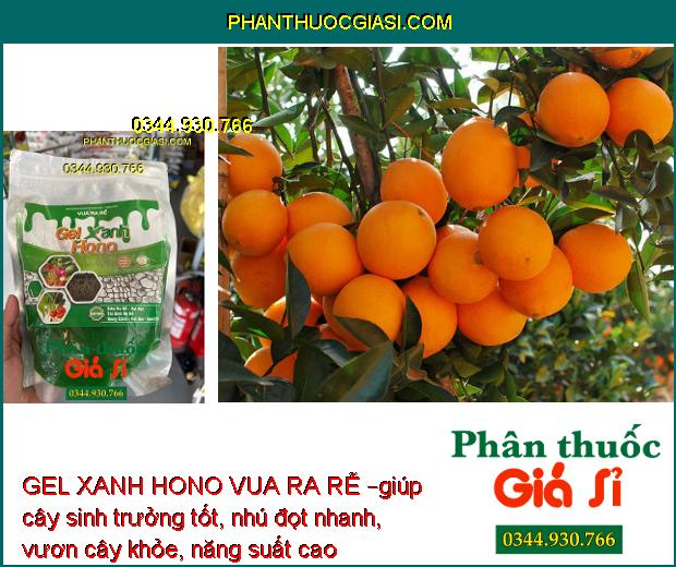 GEL XANH HONO VUA RA RỄ – Kích Thích Ra Rễ - Cải Tạo Đất 