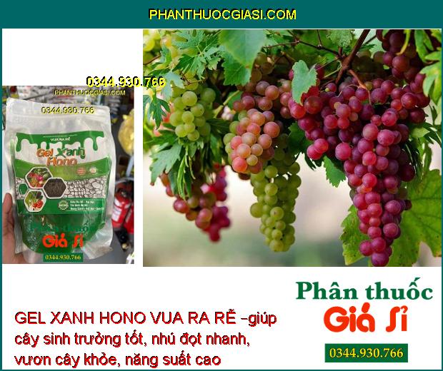 GEL XANH HONO VUA RA RỄ – Kích Thích Ra Rễ - Cải Tạo Đất 