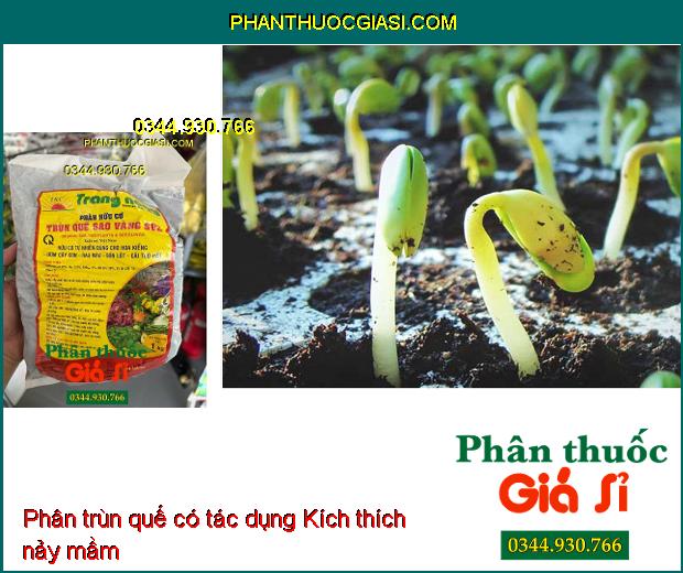 PHÂN HỮU CƠ TRÙN QUẾ SAO VÀNG SV2 - Cải Tạo Đất - Cung Cấp Chất Hữu Cơ Và Dinh Dưỡng Cho Cây 