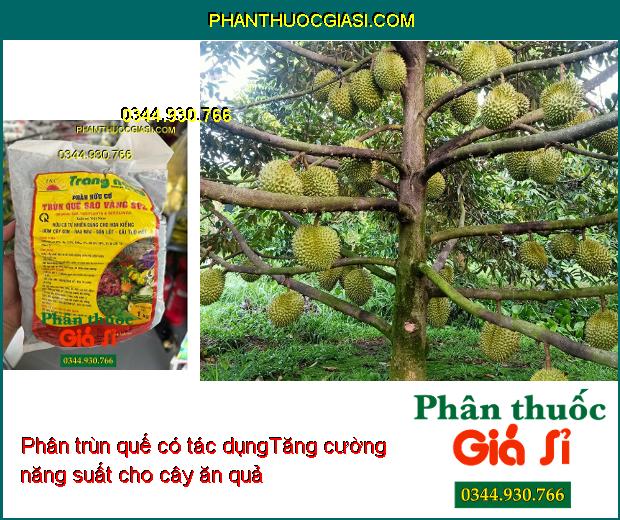 PHÂN HỮU CƠ TRÙN QUẾ SAO VÀNG SV2 - Cải Tạo Đất - Cung Cấp Chất Hữu Cơ Và Dinh Dưỡng Cho Cây 