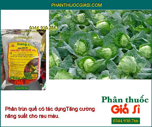 PHÂN HỮU CƠ TRÙN QUẾ SAO VÀNG SV2 - Cải Tạo Đất - Cung Cấp Chất Hữu Cơ Và Dinh Dưỡng Cho Cây 