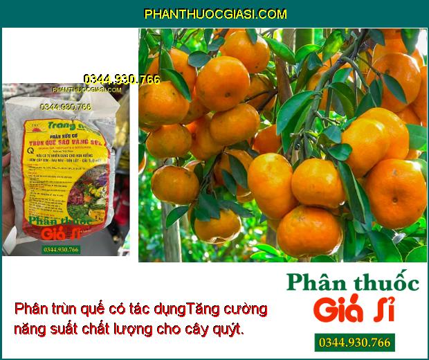 PHÂN HỮU CƠ TRÙN QUẾ SAO VÀNG SV2 - Cải Tạo Đất - Cung Cấp Chất Hữu Cơ Và Dinh Dưỡng Cho Cây 