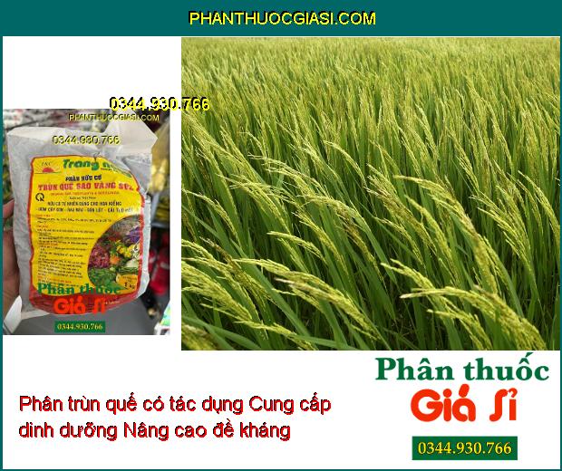 PHÂN HỮU CƠ TRÙN QUẾ SAO VÀNG SV2 - Cải Tạo Đất - Cung Cấp Chất Hữu Cơ Và Dinh Dưỡng Cho Cây 