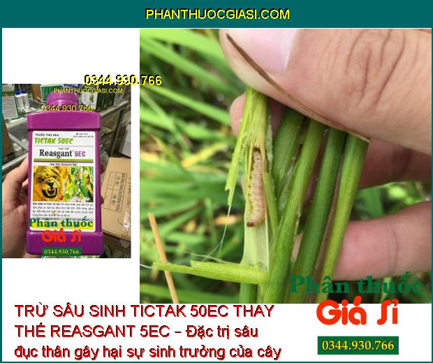 TRỪ SÂU SINH TICTAK 50EC THAY THẾ REASGANT 5EC – Đặc Trị Sâu Đục Thân - Sâu Xanh - Bọ Trĩ - Sâu Cuốn Lá - Nhện Gié