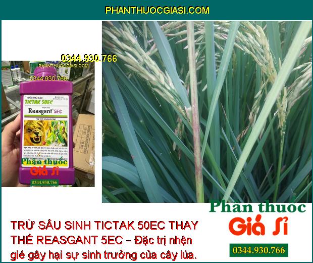 TRỪ SÂU SINH TICTAK 50EC THAY THẾ REASGANT 5EC – Đặc Trị Sâu Đục Thân - Sâu Xanh - Bọ Trĩ - Sâu Cuốn Lá - Nhện Gié