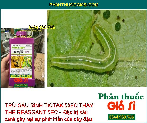 TRỪ SÂU SINH TICTAK 50EC THAY THẾ REASGANT 5EC – Đặc Trị Sâu Đục Thân - Sâu Xanh - Bọ Trĩ - Sâu Cuốn Lá - Nhện Gié