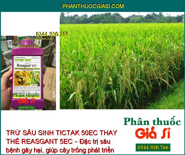 TRỪ SÂU SINH TICTAK 50EC THAY THẾ REASGANT 5EC – Đặc Trị Sâu Đục Thân - Sâu Xanh - Bọ Trĩ - Sâu Cuốn Lá - Nhện Gié