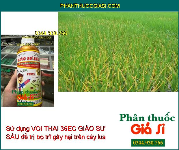 VOI THAI 36EC GIÁO SƯ SÂU - Đặc Trị Nhiều Loại Sâu Gây Hại Cây Trồng