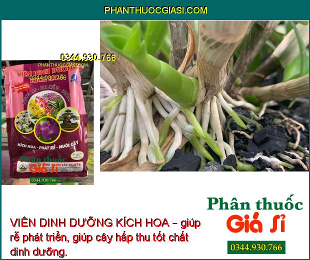 VIÊN DINH DƯỠNG KÍCH HOA – Kích Hoa - Phát Rễ - Nuôi Cây 