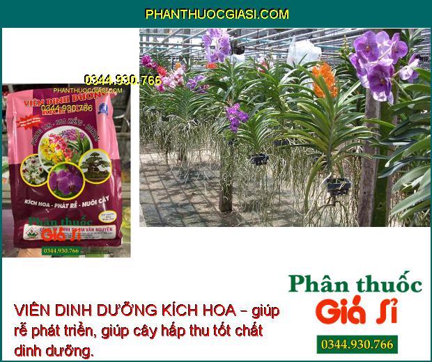 VIÊN DINH DƯỠNG KÍCH HOA – Kích Hoa - Phát Rễ - Nuôi Cây 