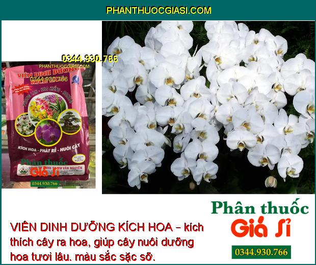 VIÊN DINH DƯỠNG KÍCH HOA – Kích Hoa - Phát Rễ - Nuôi Cây 