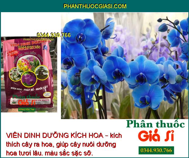 VIÊN DINH DƯỠNG KÍCH HOA – Kích Hoa - Phát Rễ - Nuôi Cây 