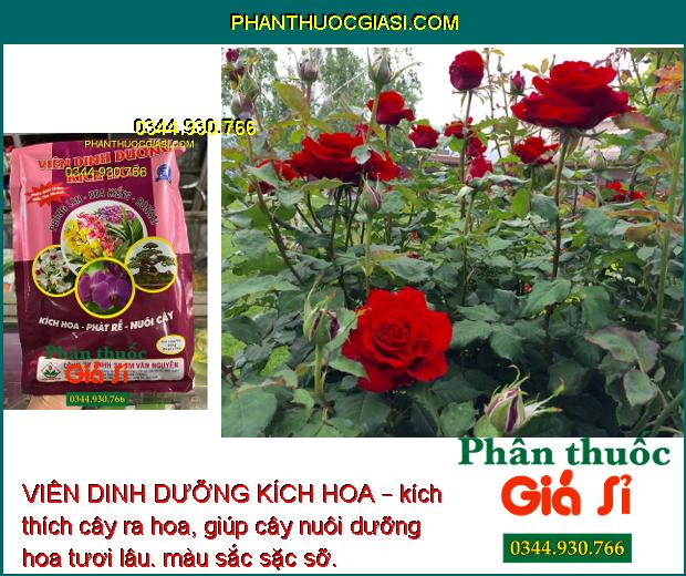 VIÊN DINH DƯỠNG KÍCH HOA – Kích Hoa - Phát Rễ - Nuôi Cây 